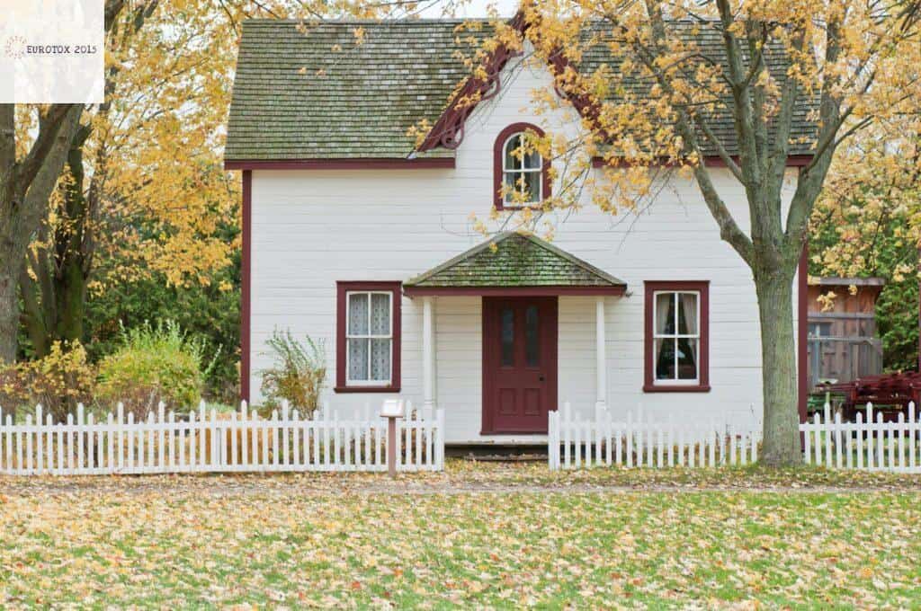 white house under maple trees