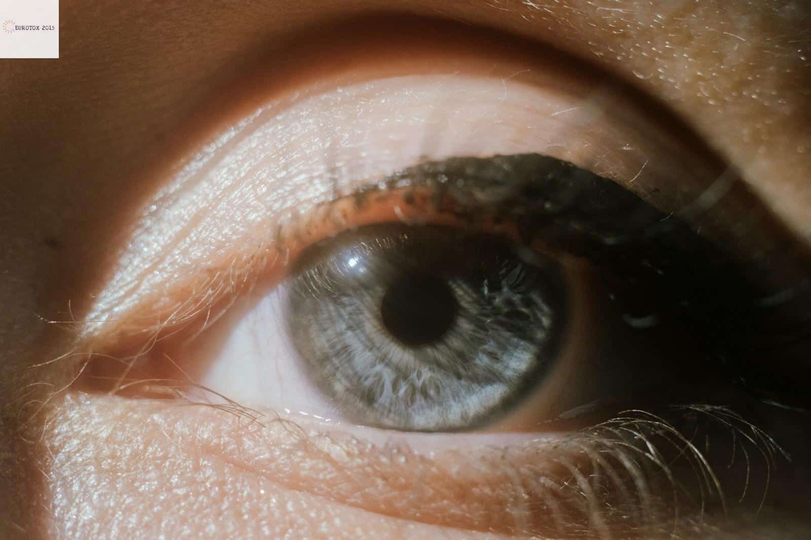 Close-up of a blue human eye with dark eyelashes